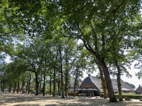 Buitenplaats de Hildenberg - Camping Ooststellingwerf - Afbeelding N°5