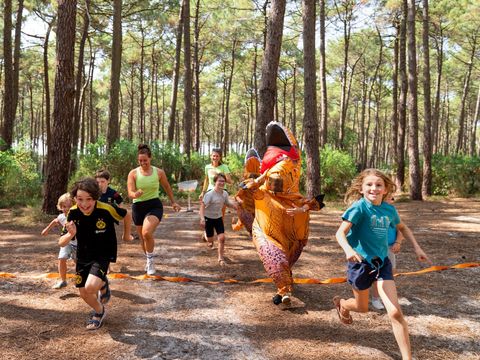  Camping Le Tedey - Gironde