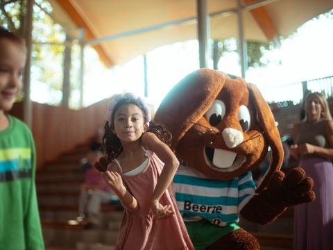 Beerze Bulten - Camping Ommen - Afbeelding N°2