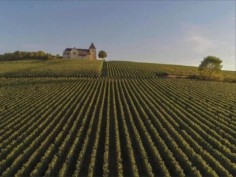 Arden Parks Signy-L'Abbaye - Ardennen - Afbeelding N°5