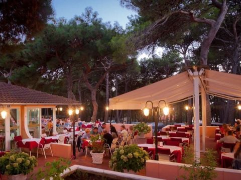 Camping Cikat - Istrië