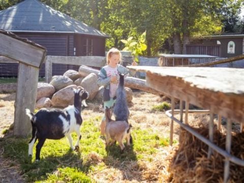 Vodatent Rosenvold Strand Camping - Jutland-Central - Afbeelding N°2