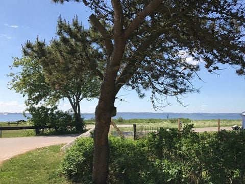 Vodatent Rosenvold Strand Camping - Jutland-Central - Afbeelding N°3