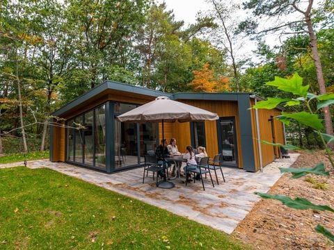 Vakantiepark De Wiltzangh - Camping De Wolden - Afbeelding N°0