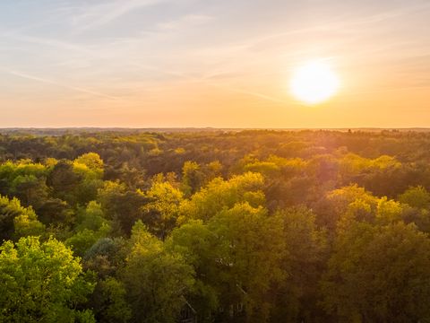 Vakantiepark De Wiltzangh - De Wolden - Afbeelding N°26