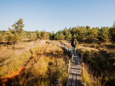 Vakantiepark De Wiltzangh - De Wolden - Afbeelding N°25