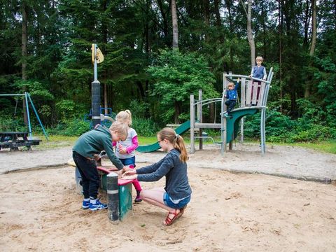 Vakantiepark De Wiltzangh - De Wolden - Afbeelding N°11