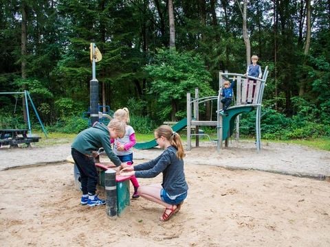 Vakantiepark De Wiltzangh - Camping De Wolden - Afbeelding N°2
