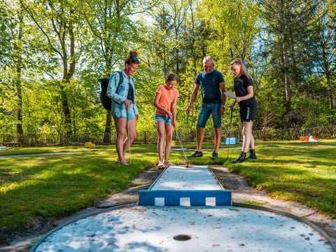 Vakantiepark De Wiltzangh - Camping De Wolden - Afbeelding N°2