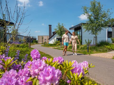 Vakantiepark De Wiedense Meren - Camping Steenwijkerland - Afbeelding N°2