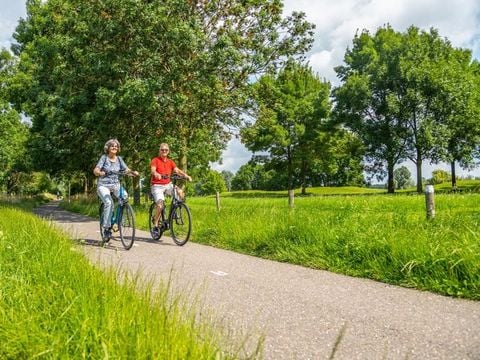 Vakantiepark Aan de Maas - Camping Maasdriel - Afbeelding N°5