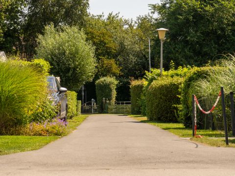 Vakantiepark De Zeeuwse Parel - Tholen - Afbeelding N°25