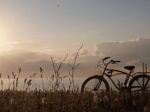 Vakantiepark De Zeeuwse Parel - Tholen