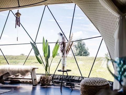 TinyParks Tiengemeten - Camping Hoeksche Waard - Afbeelding N°3