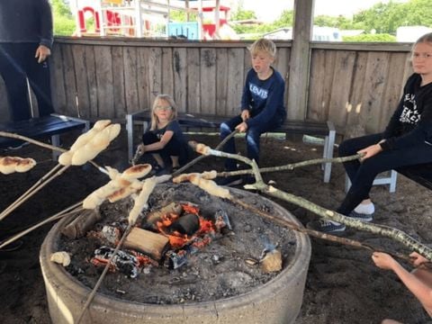 Vodatent Toftum Bjerge Camping - Camping Jutland-Central - Afbeelding N°4
