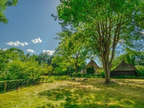 Vakantiepark De Kremmer - Aa en Hunze - Afbeelding N°22