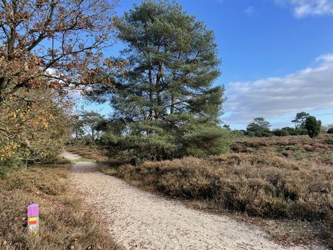 Vakantiepark De Kremmer - Aa en Hunze - Afbeelding N°25