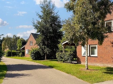 Summio Bosparc de Hoevenaer - Camping Halderberge - Afbeelding N°0