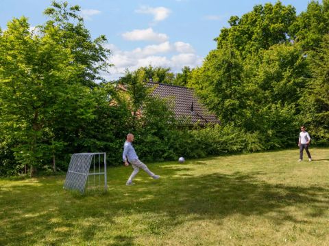 Summio Bosparc de Hoevenaer - Halderberge - Afbeelding N°14