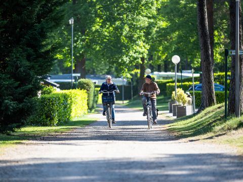 Camping Roland - Bergen - Afbeelding N°18