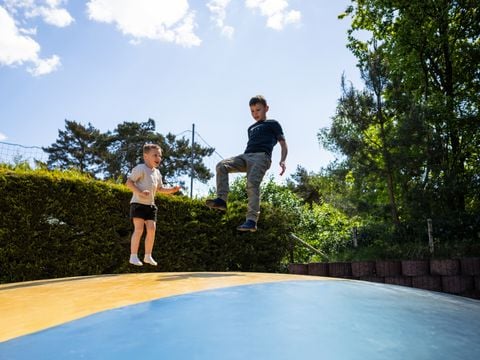 Camping Roland - Bergen - Afbeelding N°3