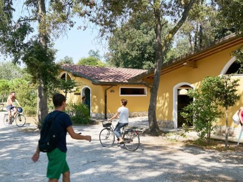 Europe Tents Campeggio Paradiso - Camping Lucca  