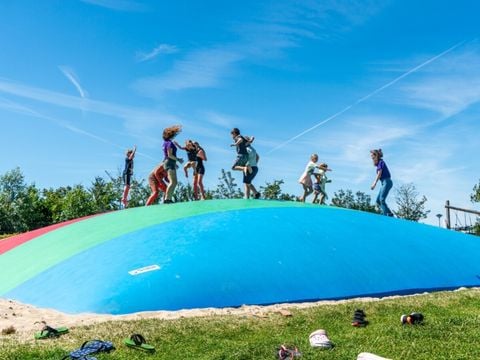 Vakantiepark de Boomgaard - Camping Veere - Afbeelding N°3