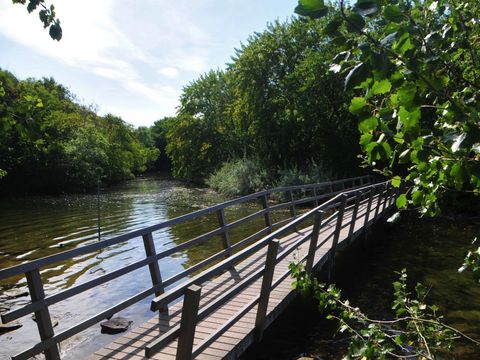 Vakantiepark de Boomgaard - Veere - Afbeelding N°45