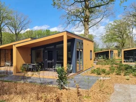 Lodgepark 't Vechtdal - Camping Dalfsen - Afbeelding N°0