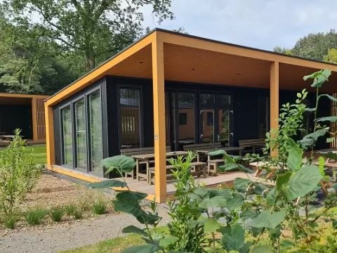 Lodgepark 't Vechtdal - Camping Dalfsen - Afbeelding N°3