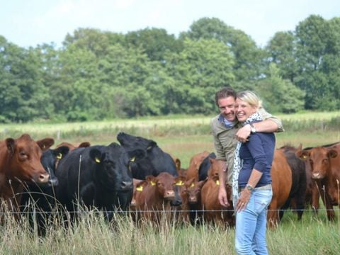 Erve Woolderink - Camping Wierden - Afbeelding N°4