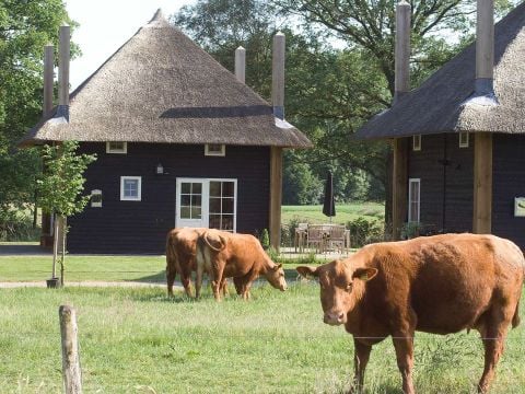 Erve Woolderink - Camping Wierden - Afbeelding N°0