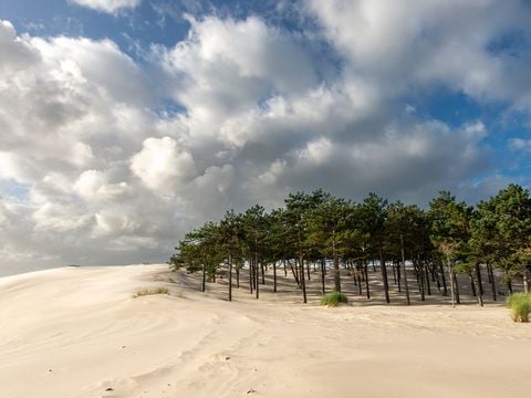 Vakantiepark Schoorlse Duinen - Camping Bergen - Afbeelding N°5