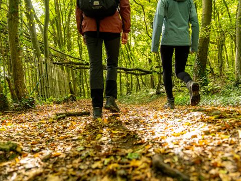 Landal Namur Nature - Namen - Afbeelding N°27