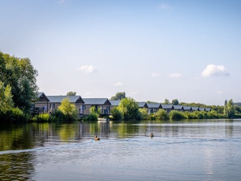 Familievakantiepark Krieghuusbelten - Camping Raalte - Afbeelding N°0