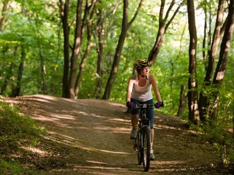Dormio Hotel Der Seehof - Noordrijn-Westfalen - Afbeelding N°5