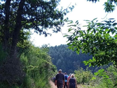 Camping L'Échapée Verte - Cantal