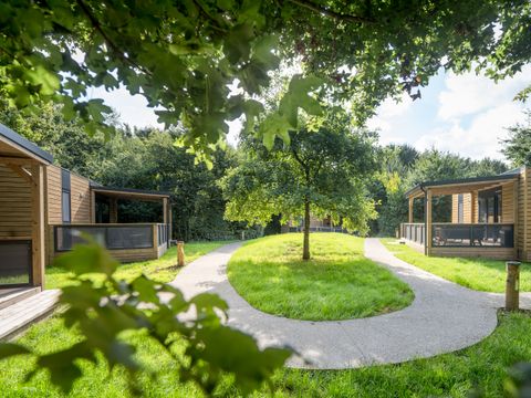 Urban Gardens Ieper - West-Vlaanderen - Afbeelding N°18