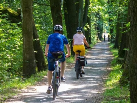 Urban Gardens Ieper - Camping West-Vlaanderen - Afbeelding N°4