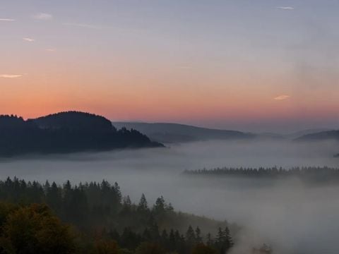 UplandParcs Residence Wiinterberg - Camping Noordrijn-Westfalen - Afbeelding N°4