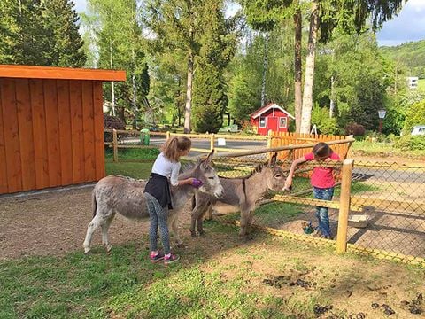 Bungalowpark Felsenhof - Camping Rijnland-Palts