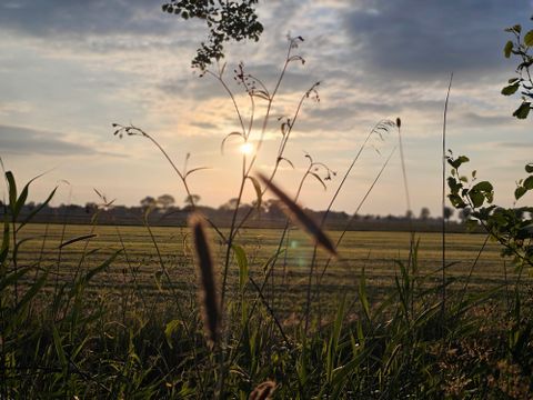 Vakantiepark Ljeppershiem - Noardeast-fryslân - Afbeelding N°15