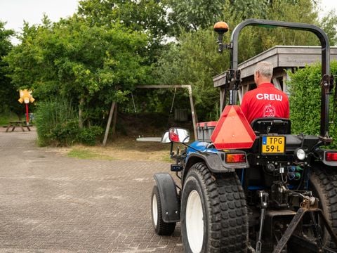 Duincamping de Lepelaar - Schagen - Afbeelding N°3