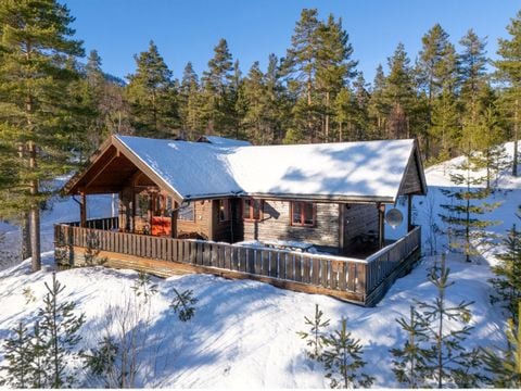 Fjord Rentals - Telemark - Afbeelding N°22