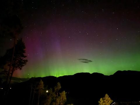 Fjord Rentals - Telemark - Afbeelding N°16