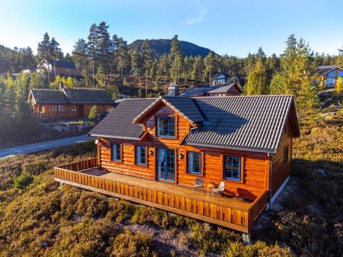 Fjord Rentals - Telemark - Afbeelding N°11