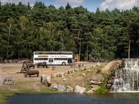 Serengeti Park - Nedersaksen - Afbeelding N°3