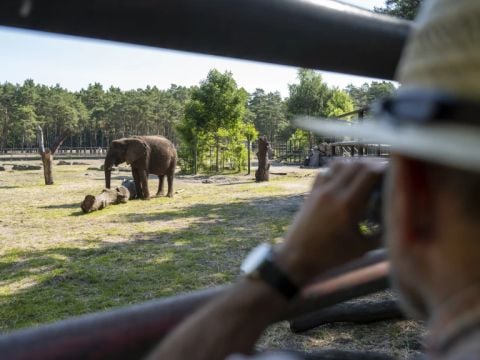 Serengeti Park - Nedersaksen - Afbeelding N°5