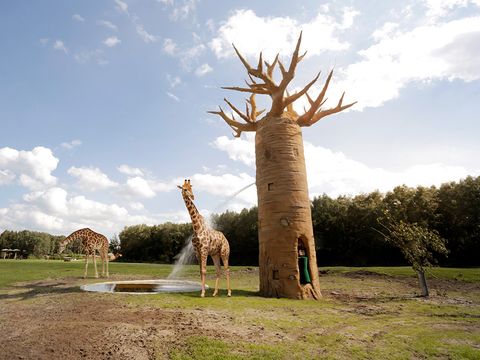 Serengeti Park - Nedersaksen - Afbeelding N°14
