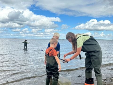 Vodatent Hvalpsund Familie Camping - Sjaelland - Afbeelding N°5